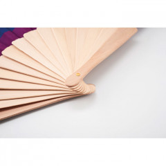 Rainbow Hand Fan