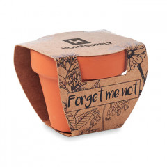 Forget me not - Grow your own pot