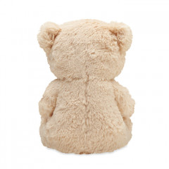 Large Teddy Bear in RPET Fleece