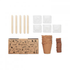 Flowers growing kit