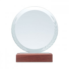 Round Crystal Award