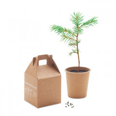 Grow Pine Tree Set