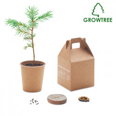 Grow Pine Tree Set