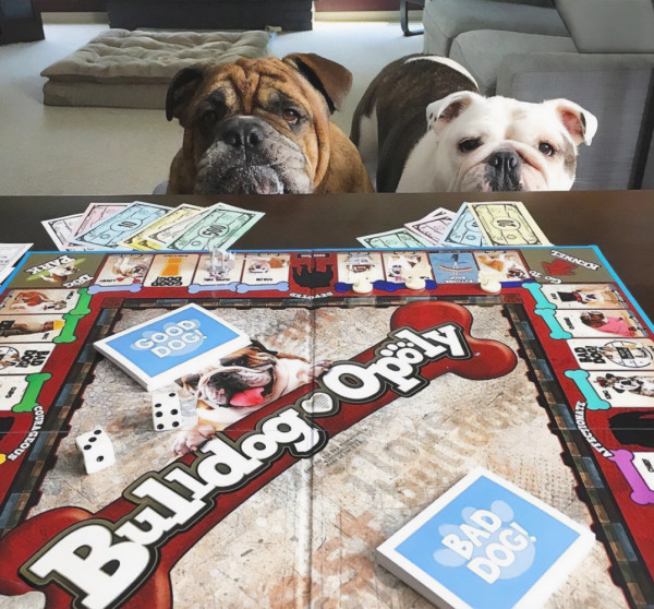 Every dog must have it's board game