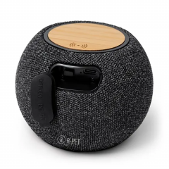 Bandini Speaker