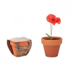 Poppy - Grow your own pot